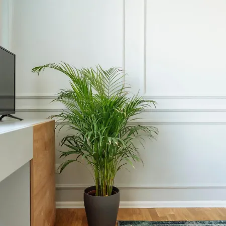 Amazing Location - Superb View - Old Town Διαμέρισμα *