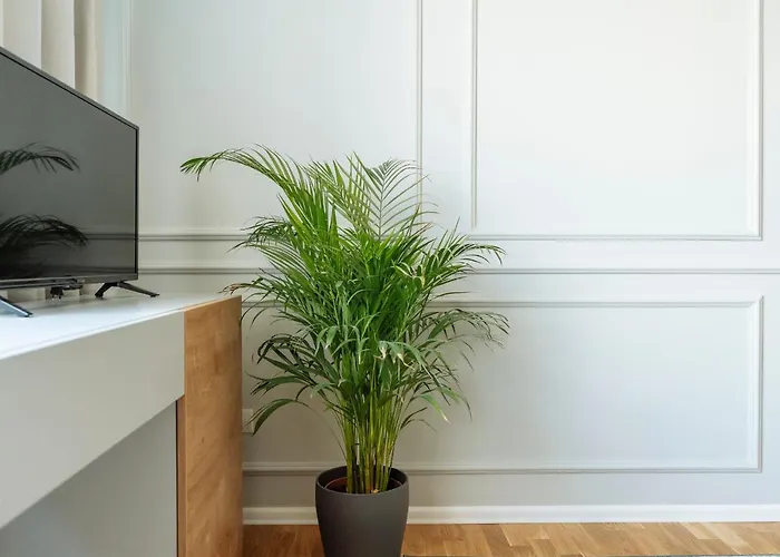 Amazing Location - Superb View - Old Town Apartament *